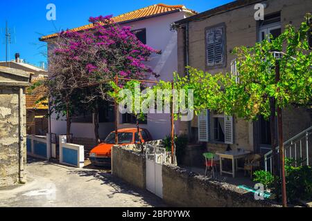 Bougainvilliers roses et vigne dans le jardin. Rue étroite et confortable avec des maisons méditerranéennes à Primosten, Dalmatie, Croatie, Europe Banque D'Images