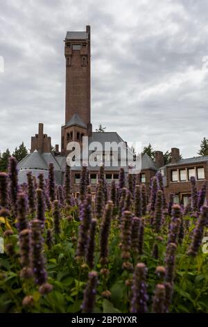 Jachthuis Sint Hubertus, ancienne résidence d'Hélène et Anton Kröller-Müller, dans le parc national de Hoge Veluwe, Gelderland, pays-Bas Banque D'Images