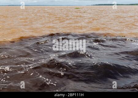 Encontro das águas, la rencontre des eaux, fleuve Amzon, Manaus, Etat Amazone, Brésil, Amérique latine Banque D'Images