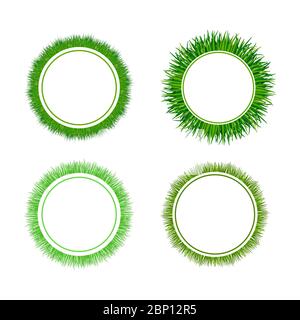 Cadres circulaires pour herbe verte sur fond blanc. Illustration vectorielle Illustration de Vecteur