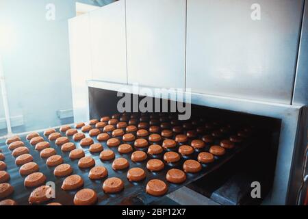 Tapis transporteur automatique avec gâteaux, processus de cuisson dans l'usine de confiserie. Industrie alimentaire, tonifiée Banque D'Images