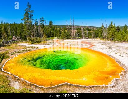 Matin, piscine de gloire geyser le matin, parc national de Yellowstone, Wyoming.us a. Banque D'Images