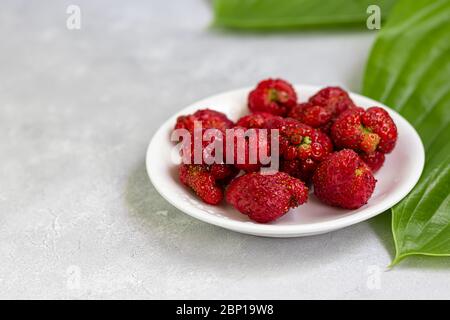 Produit naturel laid de fraises sur un plat blanc, rouge mûr et formes étranges sur fond gris. Une cuisine à la mode et insupportable. Étrange drôle imparfait Banque D'Images