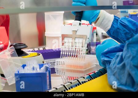 Le scientifique utilise une pipette multicanaux lors de la recherche sur l'ADN Banque D'Images