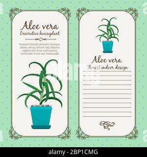 Modèle d'étiquette vintage avec plante décorative à l'aloe vera en pot, illustration vectorielle Illustration de Vecteur