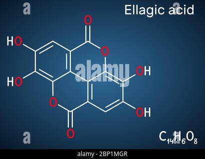 Acide ellagique, molécule C14H6O8. Il est naturel phénol antioxydant, supplément alimentaire. Formule chimique structurelle sur fond bleu foncé. Vecteur Illustration de Vecteur