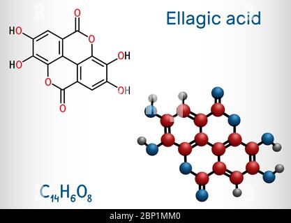 Acide ellagique, acide moleculagique C14H6O8, molécule C14H6O8. Il est naturel phénol antioxydant, supplément alimentaire. Formule chimique structurale et mole Illustration de Vecteur