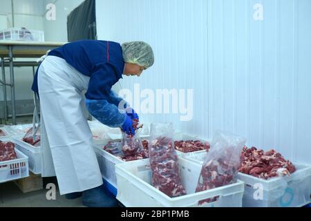 Une femme qui met des morceaux de viande crue dans un sac sous vide. Remise de l'abattoir. 24 avril 2019. Kiev, Ukraine Banque D'Images