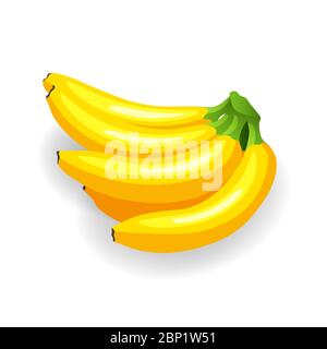 Bouquet de bananes mûres isolées sur blanc. Fruits tropicaux délicieux, illustration vectorielle de style plat Illustration de Vecteur