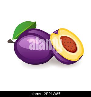 Prunes organiques fraîches isolées sur fond blanc. Délicieux fruits mûrs, illustration vectorielle de style plat Illustration de Vecteur