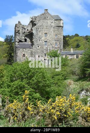 Peebles Scottish Borders, Royaume-Uni, 14 mai 20 . Château de Neidpath près de la rivière Tweed près de Peebles, aux frontières écossaises. Banque D'Images