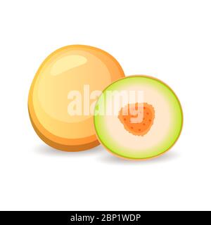 Melon juteux isolé sur fond blanc. Délicieux fruit tropical, illustration vectorielle dans un style plat Illustration de Vecteur