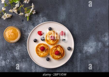 Cheesecake russe traditionnel aux framboises, bleuets et miel sur une plaque en céramique blanche sur fond sombre. À côté de lui est une branche de floraison Banque D'Images