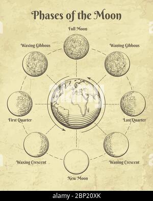 Phases lunaires d'astrologie vintage Illustration de Vecteur