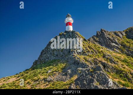 Phare de Cape Palliser, côte sud de Wairarapa, région de Wellington, Île du Nord, Nouvelle-Zélande Banque D'Images