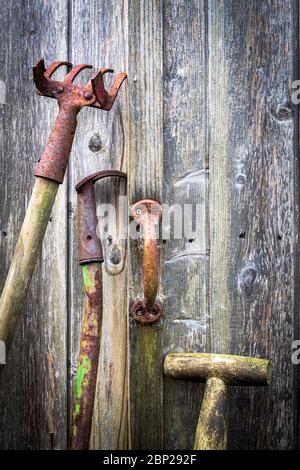 Outils de jardinage anciens et rouillés reposant sur un hangar en bois avec une poignée de porte rouillée, Ayrshire, Royaume-Uni Banque D'Images