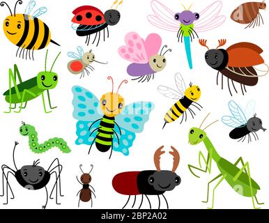 Insectes de dessin animé. Collection d'insectes Vector Cute, mouche et coccinelle, mantis et guêpe, insecte et coléoptère isolés sur fond blanc Illustration de Vecteur