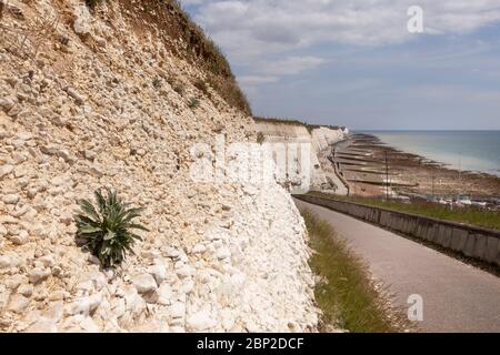 falaises de craie sur le front de mer de Brighton Banque D'Images