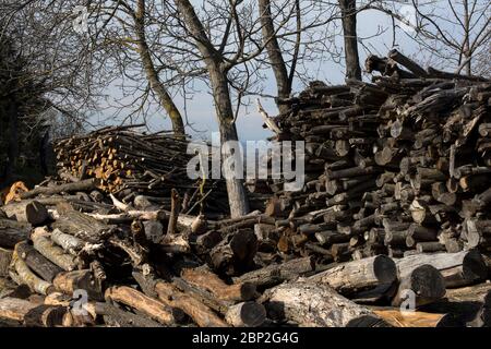 Pile de grumes près de Cassinasco à Langhe, Piémont, Italie Banque D'Images