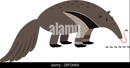 Icône d'animal de bande dessinée ANT-eater isolée sur fond blanc, illustration vectorielle Illustration de Vecteur