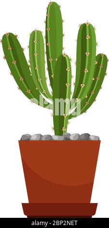 Cactus dans pot céramique, icône vecteur de la plante du foyer sur fond blanc Illustration de Vecteur