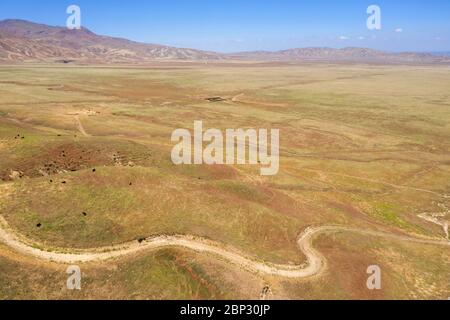 Vues aériennes des collines ondoyantes dorées des terres du Tejon Ranch dans le comté de Kern, Californie Banque D'Images