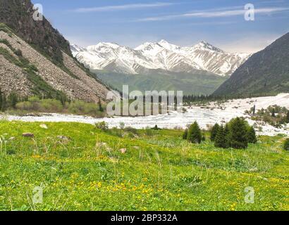 L'Ala Archa Parc National dans les montagnes du Tian Shan Bichkek au Kirghizistan Banque D'Images