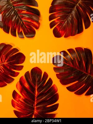 Feuilles tropicales de palmier sur fond ultraviolet fluorescent. Concept art de fond d'été. Banque D'Images