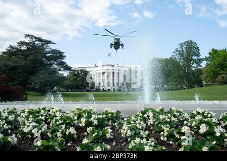 Les begonias blanches en pleine floraison autour de la fontaine alors que le président américain Donald Trump quitte la pelouse sud de la Maison Blanche via Marine One pour une visite au Camp David le 1er mai 2020 à Washington, D.C. Banque D'Images