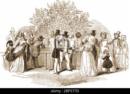 South London Flower Show 1842, qui a lieu au Surrey Zoological Gardens - aujourd'hui le site de Pasley Park (d'une publication anglaise de l'époque). Les jardins Royal Surrey Gardens étaient un jardin de plaisir qui contenait à des moments différents, une salle de musique et un zoo. C'était dans le domaine de Surrey Manor House (Manor place, près de Pasley Park). Les jardins zoologiques de Surrey ont été ouverts en 1831 par Edward Cross qui avait déjà une ménagerie sur le Strand. Il a également accueilli des spectacles de fleurs et des journées spéciales avec des reconstitutions historiques, notamment le Grand incendie de Londres et l'éruption du Vésuve. Banque D'Images