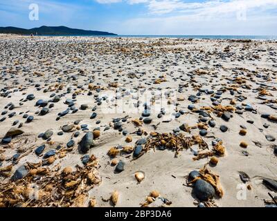 Petites pierres noires et coquillages dispersés sur le sable de la plage de Porto Pino, Sant’Anna Arresi, Sardaigne, Italie Banque D'Images