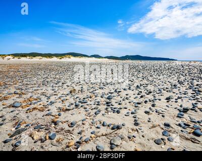 Petites pierres noires et coquillages dispersés sur le sable de la plage de Porto Pino, Sant’Anna Arresi, Sardaigne, Italie Banque D'Images