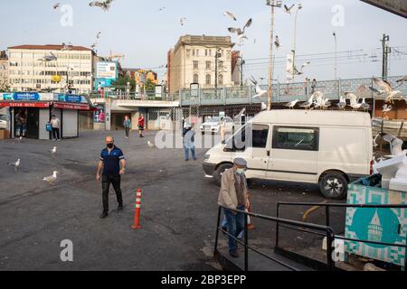 ISTANBUL,TURQUIE,MAI 15,2020: Mouettes mangeant des restes de poisson jetés près du marché de poissons de Karakoy. Les réguliers du marché de poissons de Karakoy. Banque D'Images