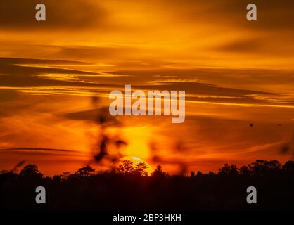 Wimbledon, Londres, Royaume-Uni. 17 mai 2020. Un soleil orange éclatant illumine le ciel occidental alors qu'il se déferle derrière Wimbledon Hill, dans le sud-ouest de Londres. Crédit: Malcolm Park/Alay Live News. Banque D'Images