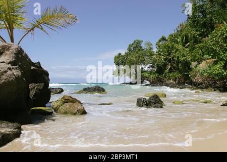 Beauté immaculée de Bocas del Toro, Panama, avec sa plage d'eau claire, ses eaux turquoises et ses rives de sable blanc, parfait pour une escapade tropicale Banque D'Images