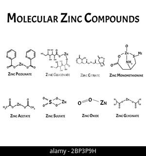 Le glycinate de zinc est une formule chimique moléculaire. Infographies du zinc. Illustration vectorielle sur un arrière-plan isolé. Illustration de Vecteur