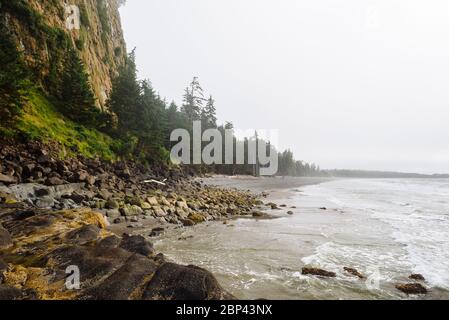 Tow Hill, parc provincial Naikoon, Haida Gwaii (Colombie-Britannique) Banque D'Images