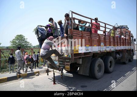 Inde. 17 mai 2020. Prayagraj: Les migrants voyagent à bord d'un camion pour arriver dans leurs villages indigènes lors d'un confinement imposé par le gouvernement à l'échelle nationale comme mesure préventive contre le coronavirus, à Prayagraj le 17 mai 2020. (Photo de Prabhat Kumar Verma/Pacific Press/Sipa USA) crédit: SIPA USA/Alay Live News Banque D'Images