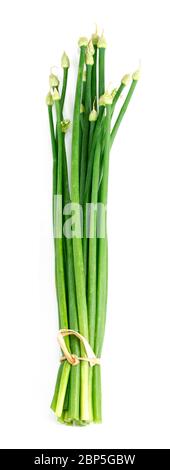 Ciboulette fleur isolée sur fond blanc. Banque D'Images