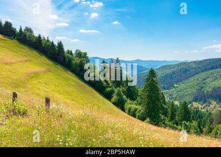 campagne champs et prairies sur les collines en été. paysage de montagne idyllique par jour ensoleillé. paysage glissant dans la crête lointaine. magnifique belette Banque D'Images