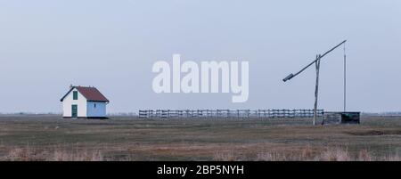Bien typique de pasteur ou Berger dans le Parc National d'Hortobagy, Hongrie, puszta est célèbre des écosystèmes dans l'Europe et l'UNESCO World Heritage Site Banque D'Images