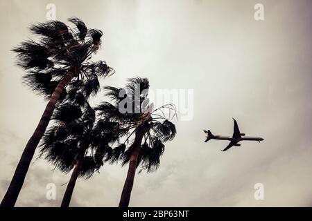 Avion dans le ciel avec des arbres en premier plan - concept d'économie crise de voyage d'affaires due à la pandémie de coronavirus d'urgence de verrouillage - tourisme et Banque D'Images