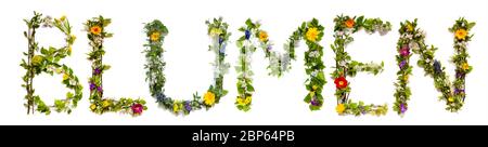 Fleur et Blossom lettre de construction mot Blumen signifie fleurs Banque D'Images