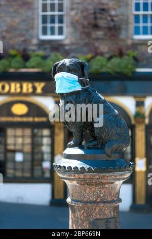 Statue de Greyfriars Bobby (avec masque facial) à l'extérieur de Greyfriars Bobby Pub pendant la pandémie du coronavirus - Candlemaker Row, Édimbourg, Écosse, Royaume-Uni Banque D'Images