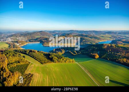 Vue aérienne, forêt mixte sur le Hennesee près de Mülsborn, feuilles d'automne, rangées d'arbres, Berghausen, Meschede, pays aigre, Rhénanie-du-Nord-Westphalie, Allemagne Banque D'Images