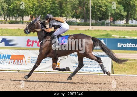 Anne Lehmann a gagné à Berlin sur le circuit de course d'harnais Alt Mariendorf Trotting avec Georgies Express dimanche 4.8.2019 le gagné à Berlin sur le circuit de course d'harnais Alt Mariendorf Trotting avec Georgies Express dimanche 4.8.2019 le Kombipokal. Banque D'Images