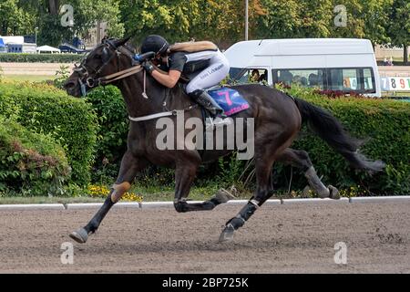 Anne Lehmann a gagné à Berlin sur le circuit de course d'harnais Alt Mariendorf Trotting avec Georgies Express dimanche 4.8.2019 le gagné à Berlin sur le circuit de course d'harnais Alt Mariendorf Trotting avec Georgies Express dimanche 4.8.2019 le Kombipokal. Banque D'Images