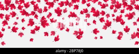 Arrière-plan des feuilles d'érable rouge tombant. Fête du Canada, concept de célébration du 1er juillet. Feuillage d'automne volant. Illustration de Vecteur