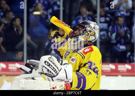 5. Vitesse DEL 19-20: SERC Wildwings vs. Krefeld Penguins Banque D'Images