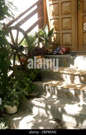 Décor rustique et plantes en pots sur les escaliers d'entrée d'une maison dans la campagne roumaine Banque D'Images